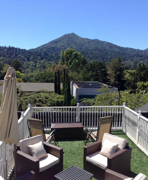 Kentfield junior 2 bedroom w/ rooftop deck – rented